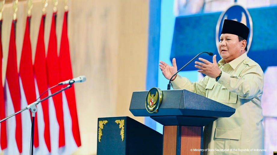 Indonesia’s lofty plans with Danantara
