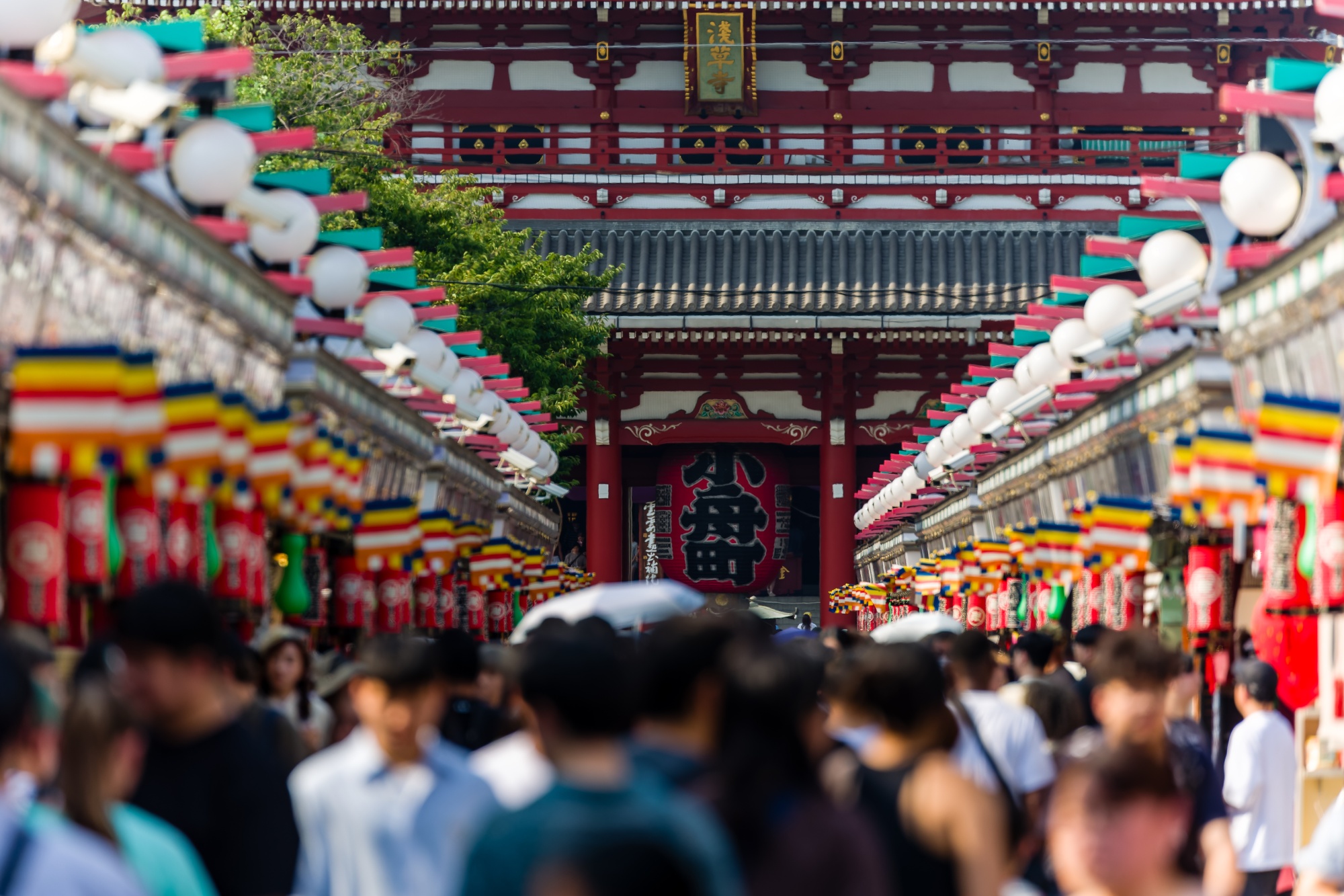 Japan's tourism finds stable ground beyond Chinese visitors