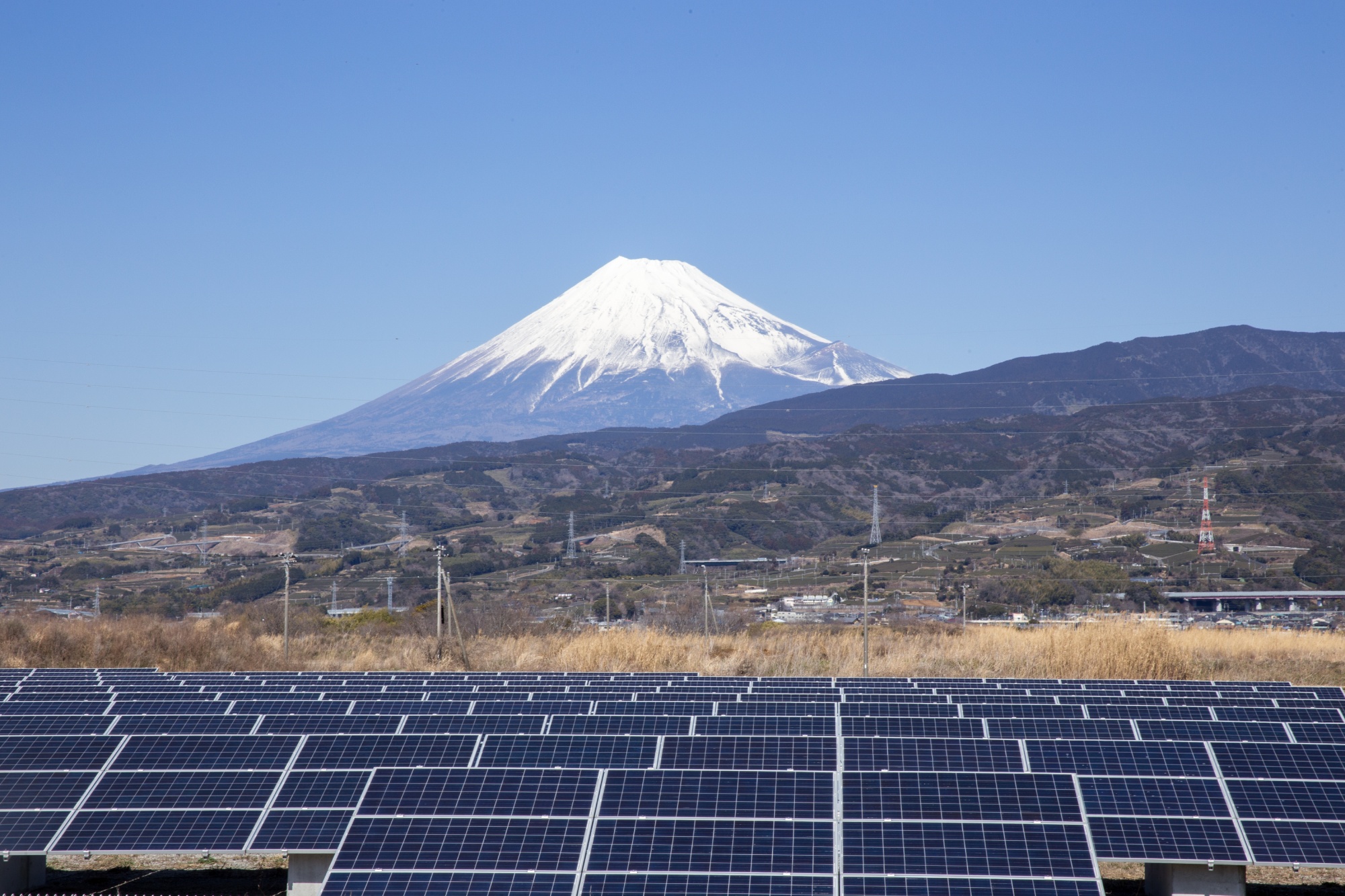 Navigating Japan’s Sustainable Finance Landscape