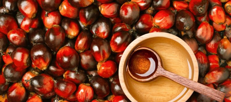 Refining Malaysia’s palm oil industry with sustainability